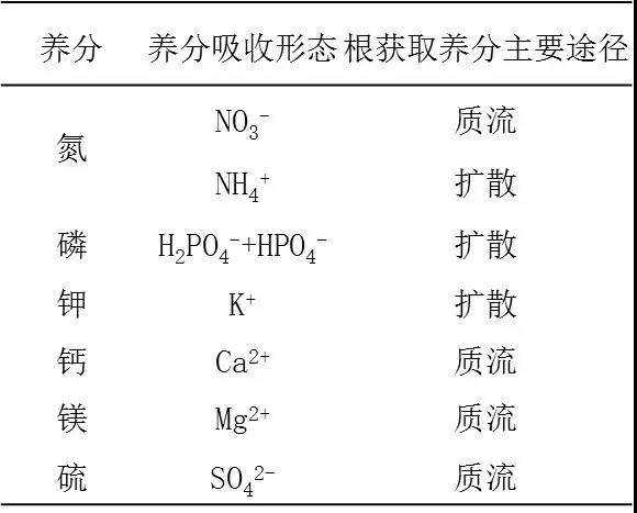 表.jpg